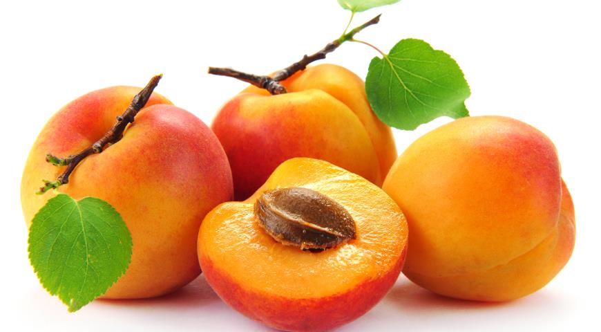 Jak uprawiać mango z nasion w domu - pocvetam.ru
