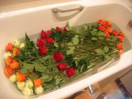 Jak ożywić róże w łazience zimną wodą, jeśli są zwiędnięte w wazonie