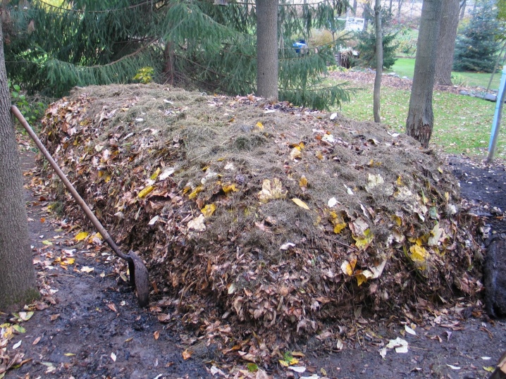 Jak zrobić kompost z liści?