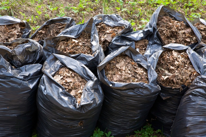 Jak zrobić kompost z liści?